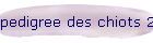 pedigree des chiots 2006