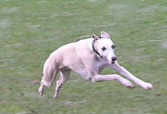 A fond, � fond, � fond...